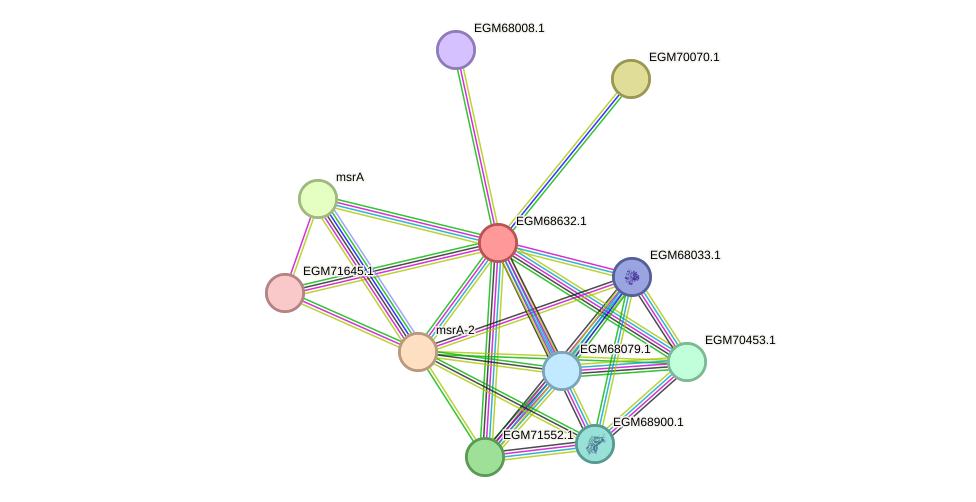 STRING protein interaction network