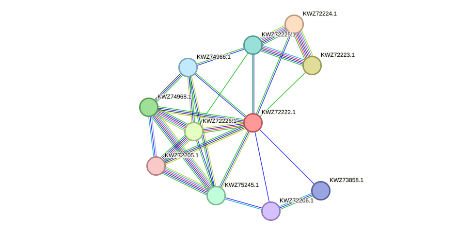 STRING protein interaction network