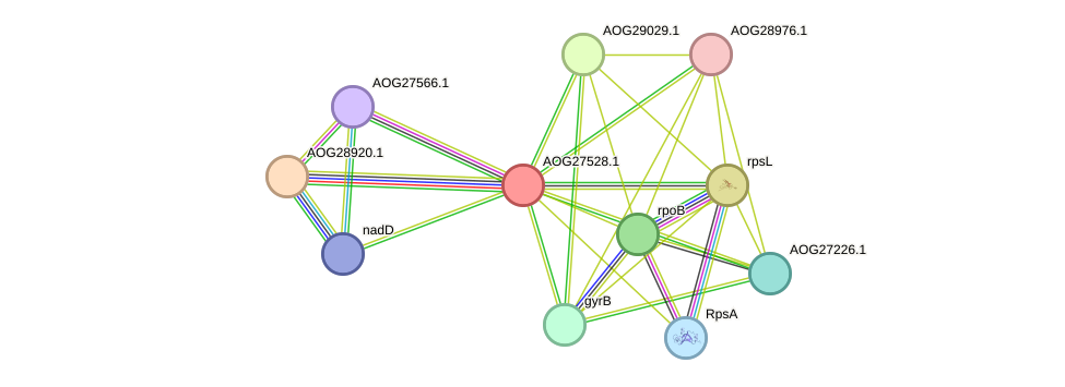 STRING protein interaction network