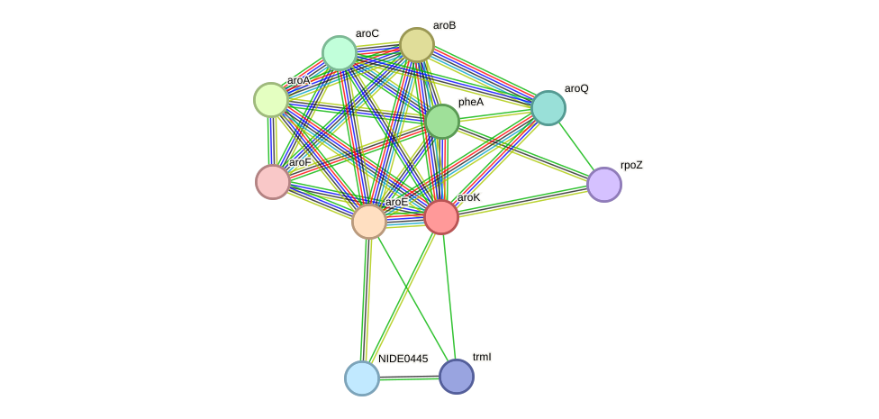 STRING protein interaction network