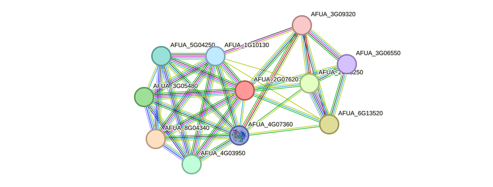 STRING protein interaction network