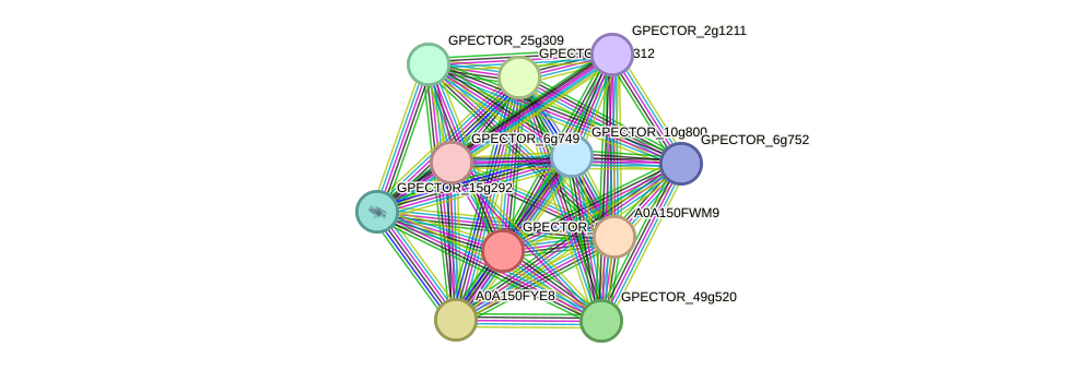 STRING protein interaction network