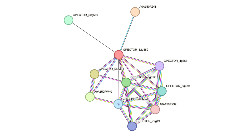 STRING protein interaction network