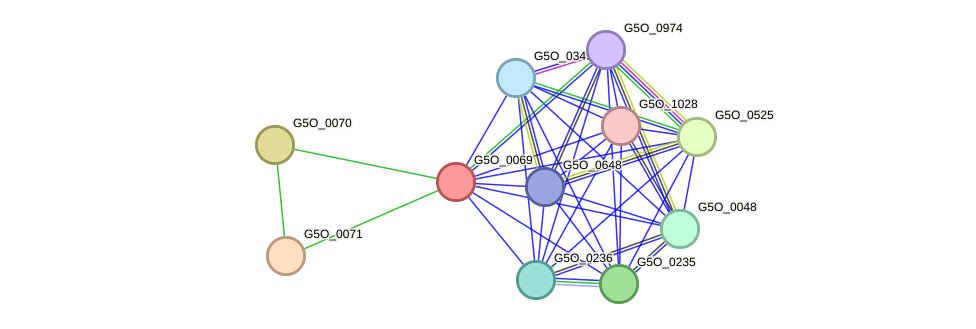 STRING protein interaction network