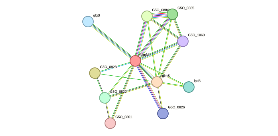 STRING protein interaction network