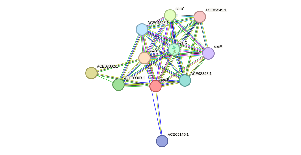 STRING protein interaction network