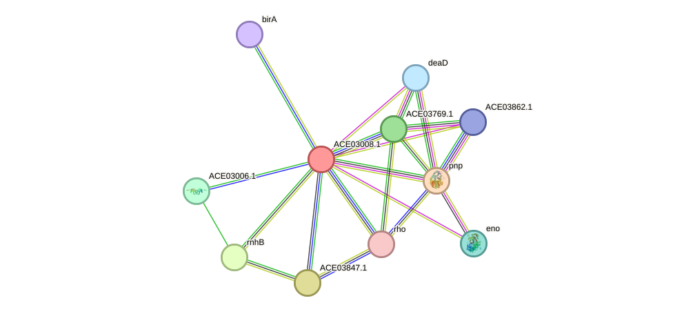 STRING protein interaction network