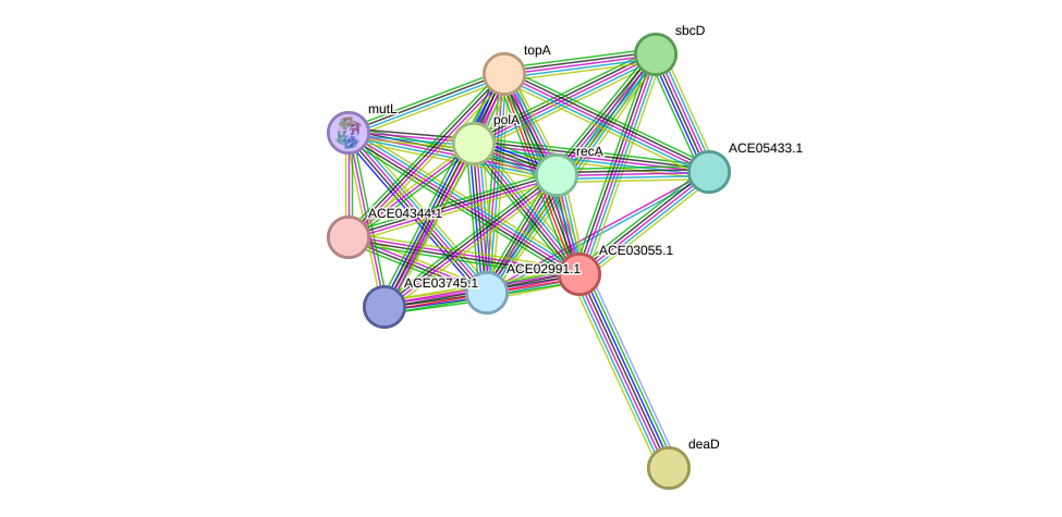 STRING protein interaction network