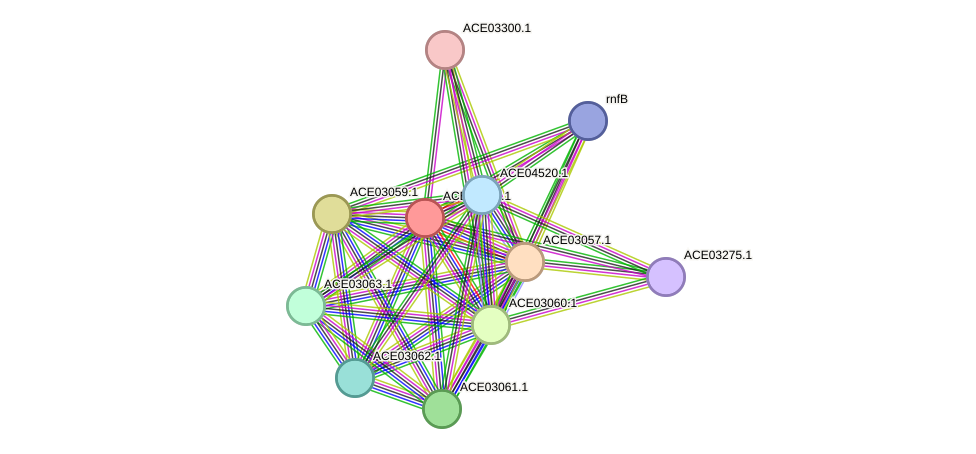 STRING protein interaction network