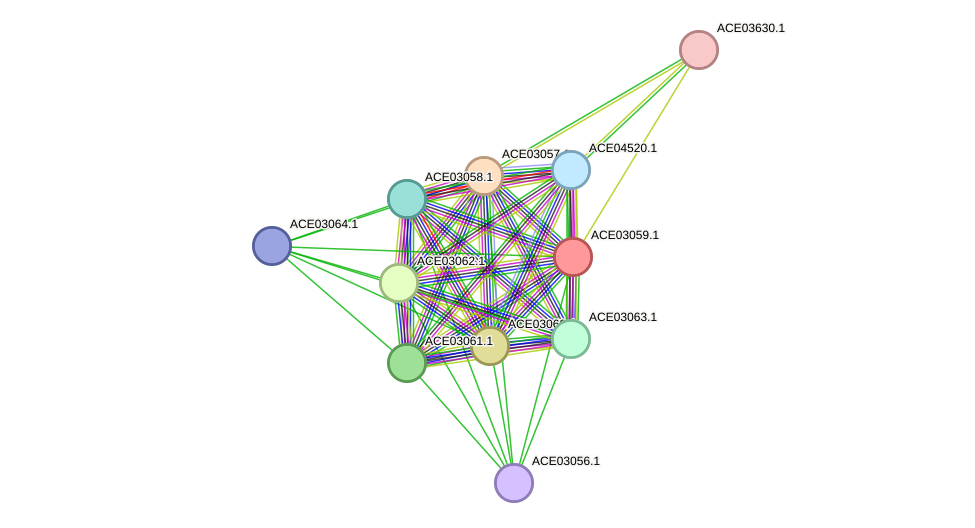 STRING protein interaction network