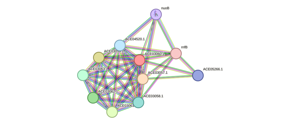 STRING protein interaction network