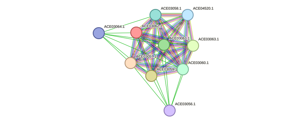 STRING protein interaction network