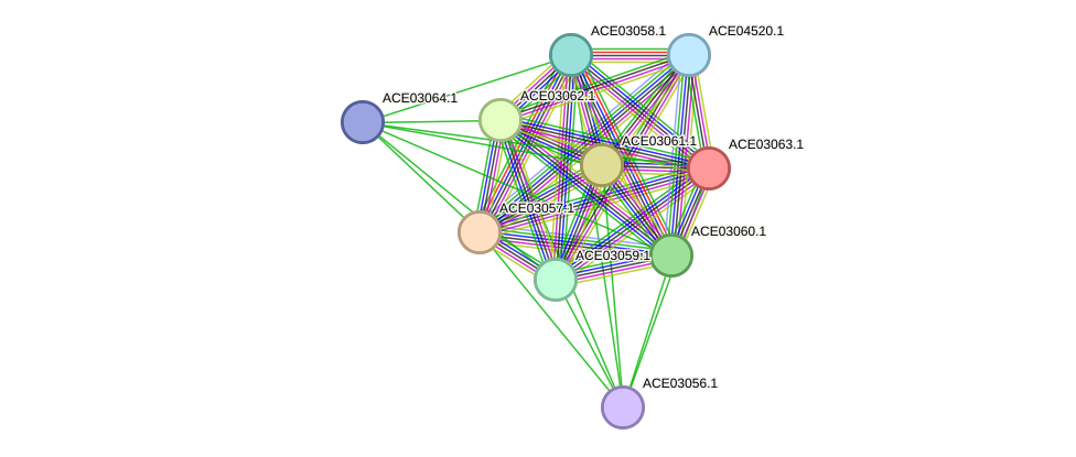 STRING protein interaction network