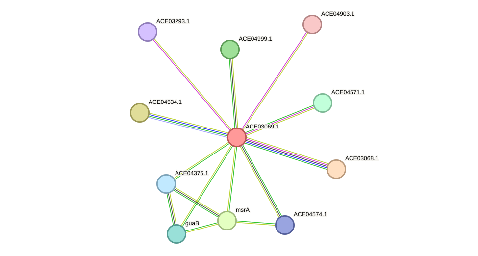 STRING protein interaction network