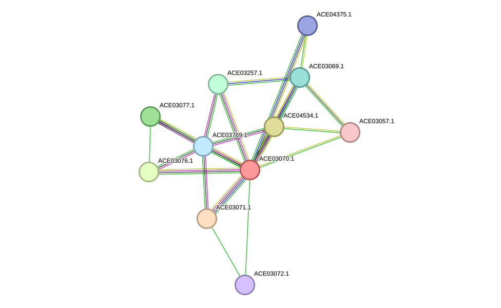STRING protein interaction network
