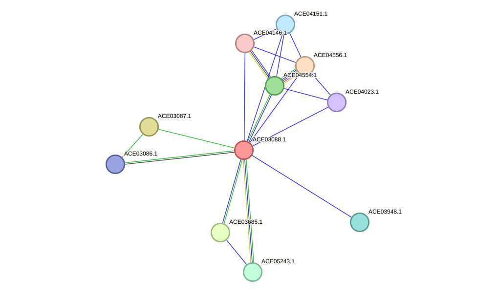 STRING protein interaction network