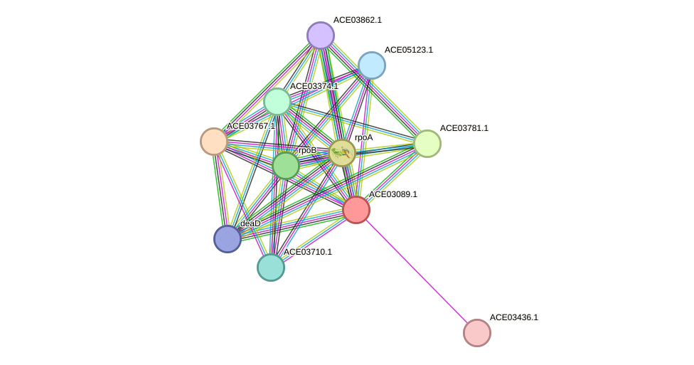 STRING protein interaction network
