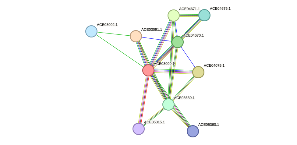 STRING protein interaction network
