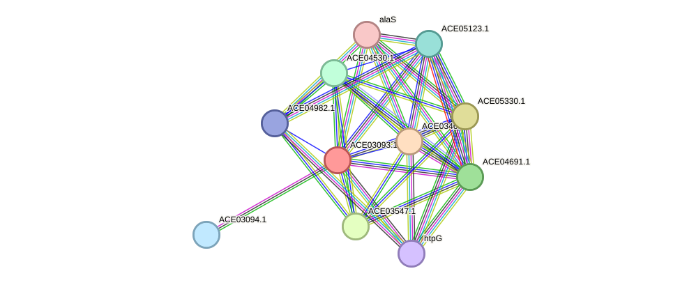 STRING protein interaction network