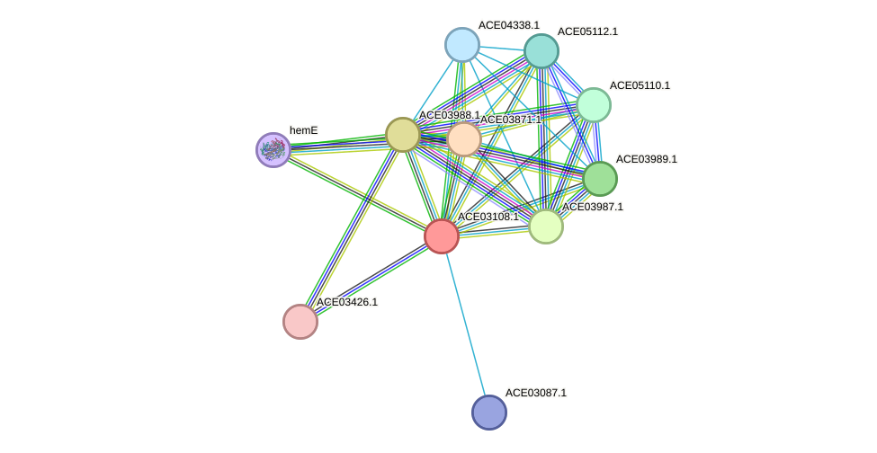 STRING protein interaction network