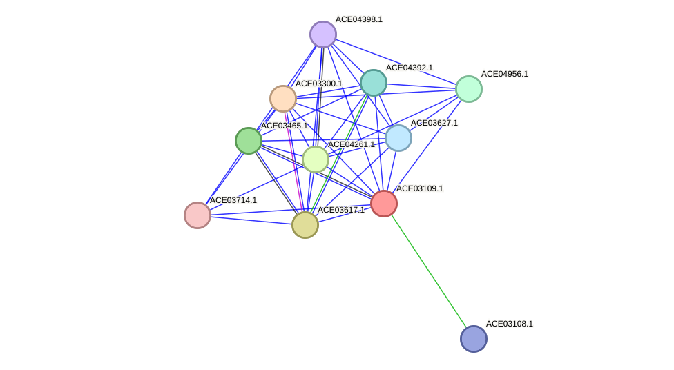 STRING protein interaction network