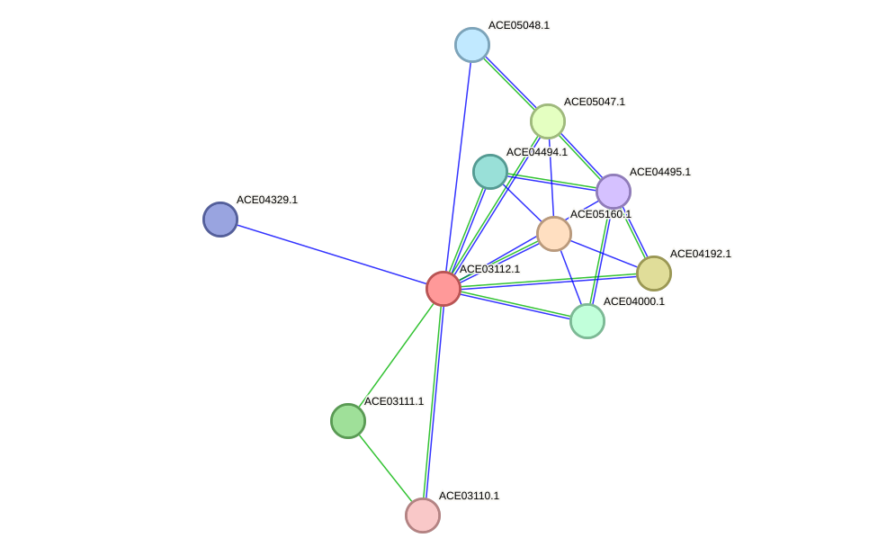 STRING protein interaction network
