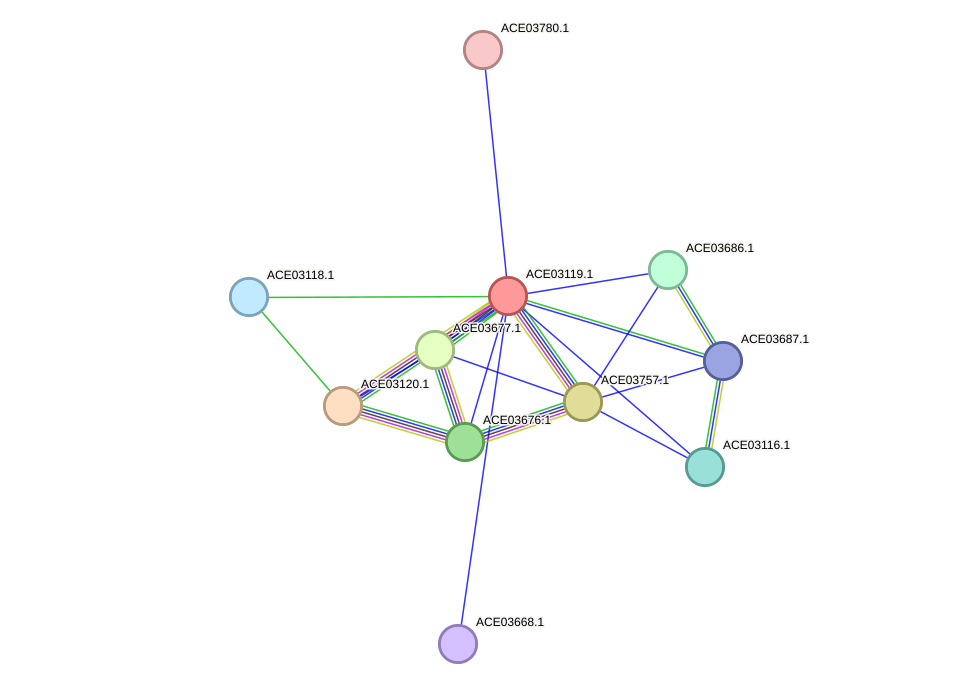 STRING protein interaction network