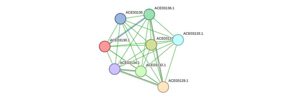 STRING protein interaction network