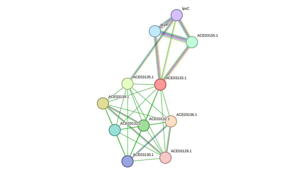 STRING protein interaction network