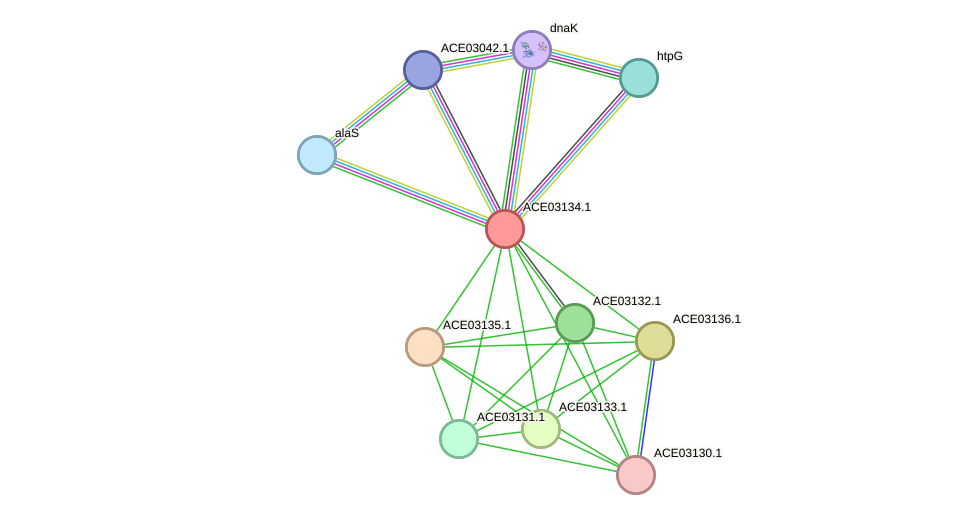 STRING protein interaction network