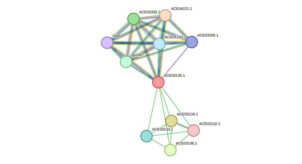 STRING protein interaction network