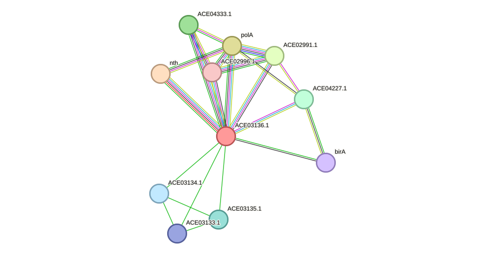 STRING protein interaction network