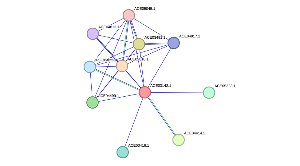 STRING protein interaction network