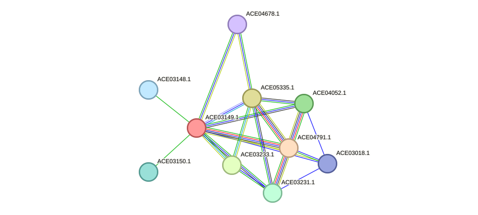 STRING protein interaction network