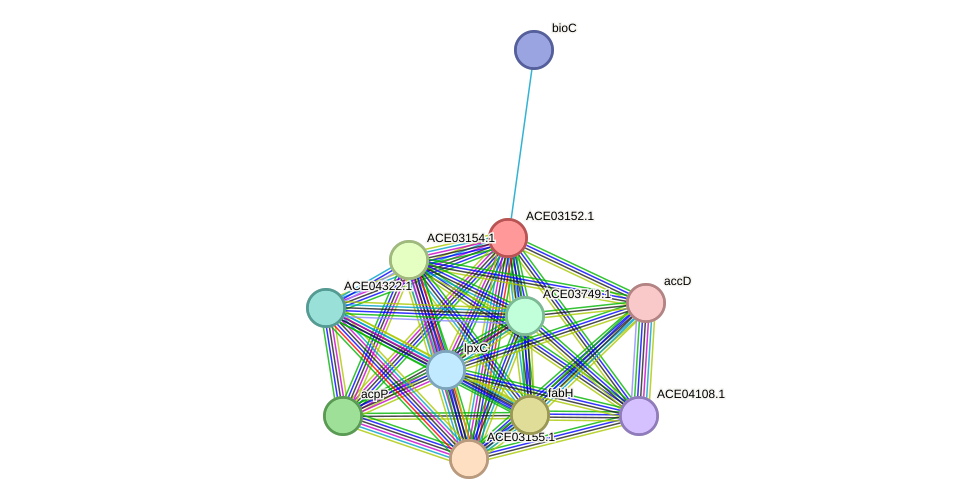 STRING protein interaction network