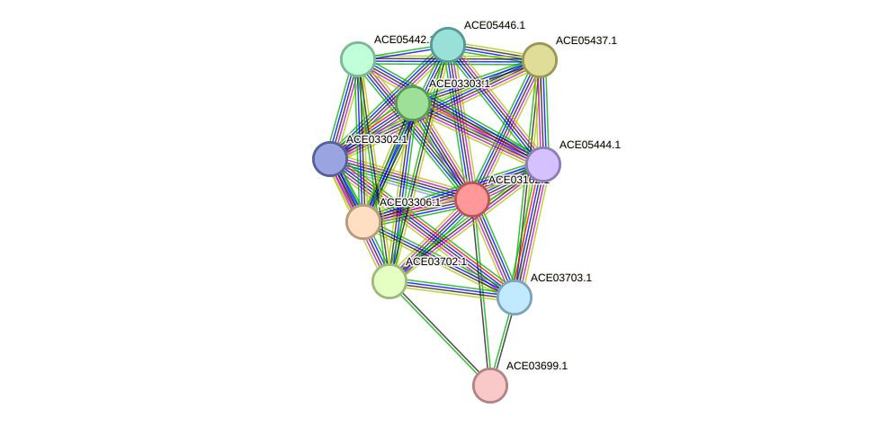 STRING protein interaction network