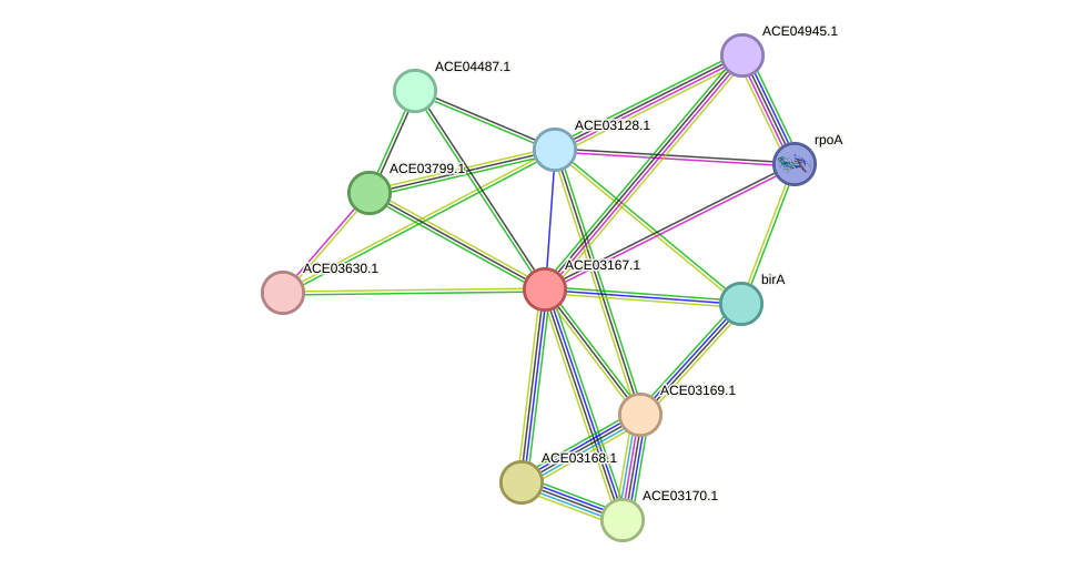 STRING protein interaction network