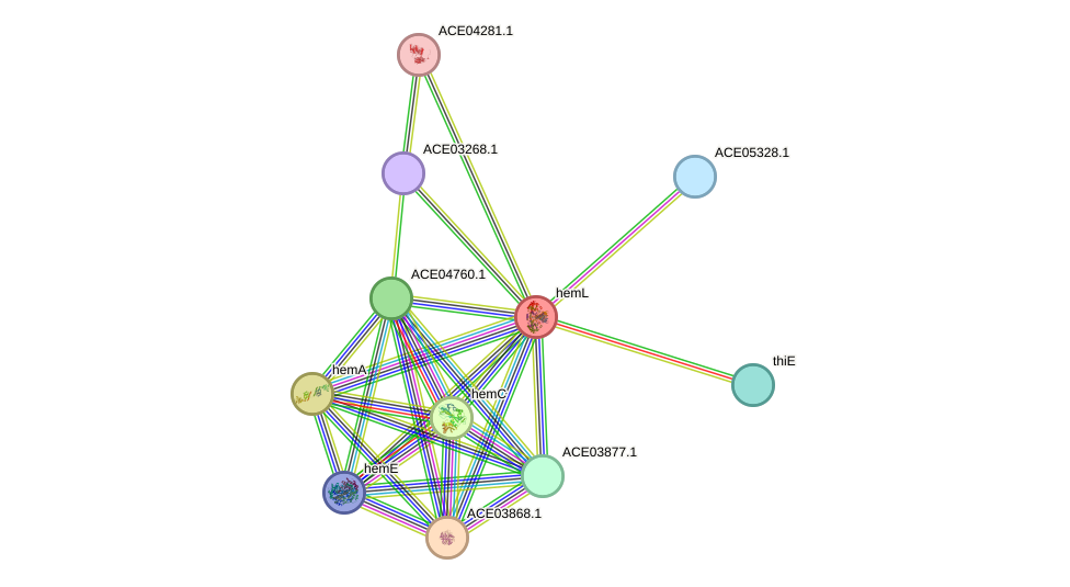 STRING protein interaction network