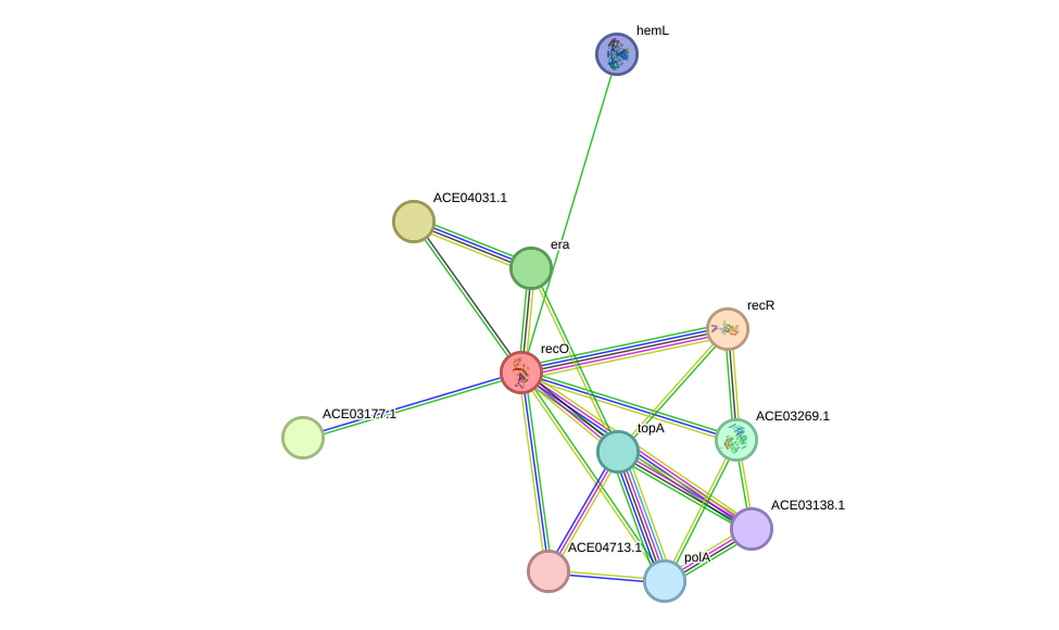 STRING protein interaction network