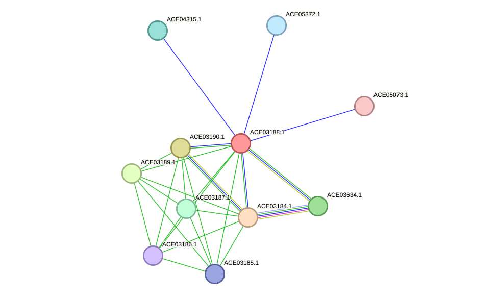 STRING protein interaction network