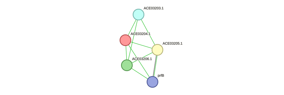 STRING protein interaction network