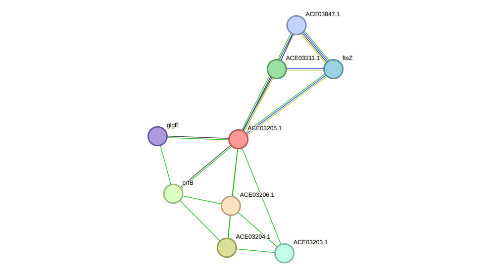 STRING protein interaction network