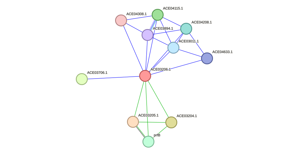 STRING protein interaction network