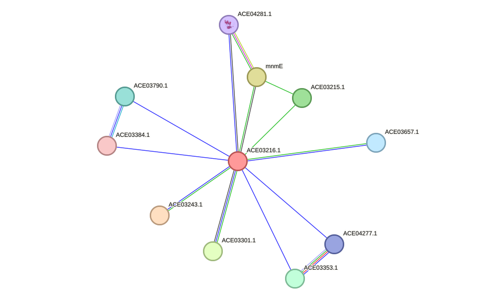 STRING protein interaction network