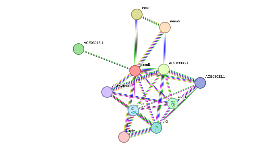 STRING protein interaction network