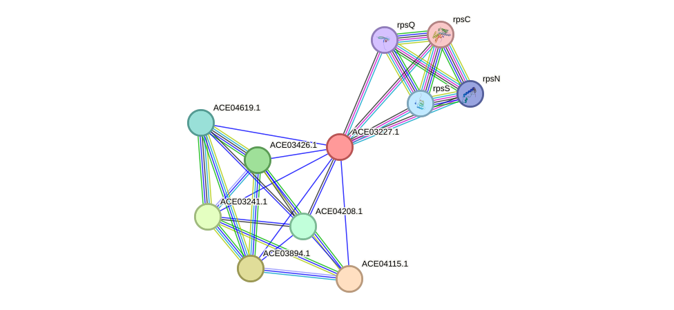 STRING protein interaction network