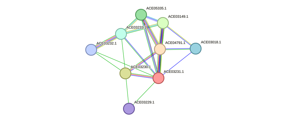 STRING protein interaction network