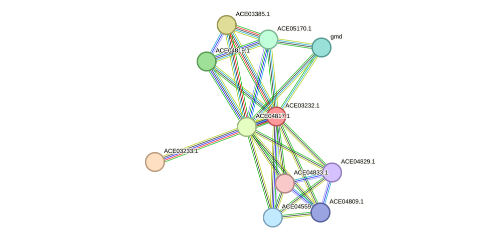 STRING protein interaction network