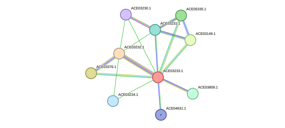 STRING protein interaction network
