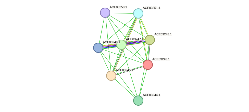 STRING protein interaction network